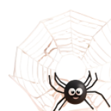 Spider with web